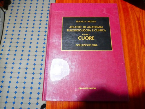 Atlante anatomia - atlante,