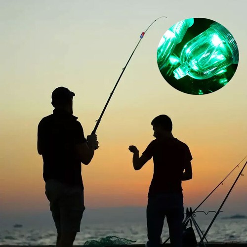 Canna pesca led notturna - canna, da