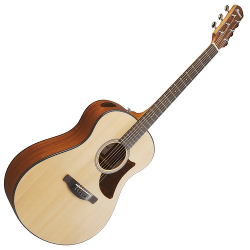 Ibanez aam50 opn open - ibanez, pore
