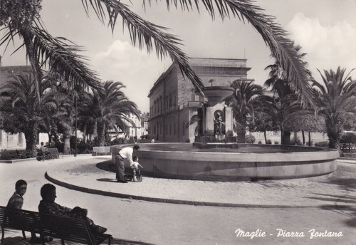 Maglie piazza - ,