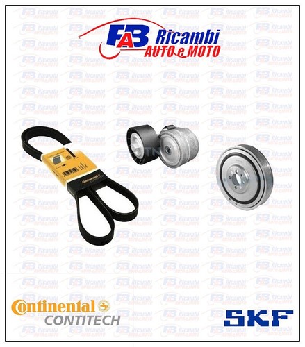 Kit cinghia servizi puleggia - servizi,