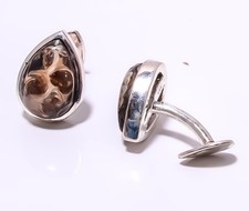 Gemello Turritella Agata