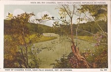 Cariche Fiume vicino Palo