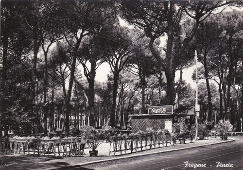 Fregene pineta - fregene:,
