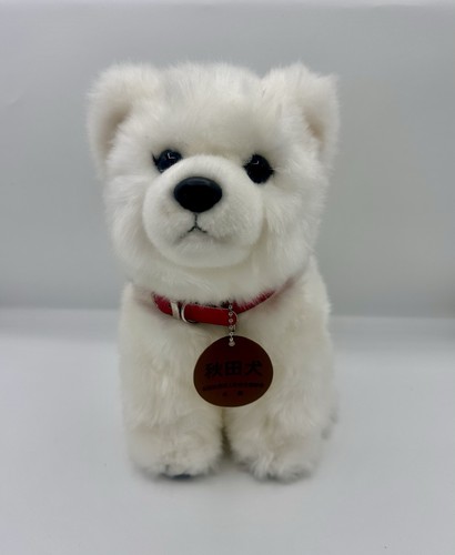White akita inu - white, preservation