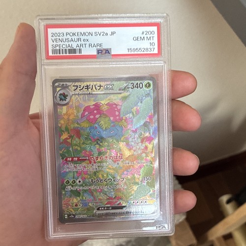 Pokémon tcg venusaur - pokémon, sv2a