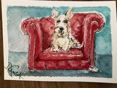 Acquerello aceo dipinto westie - acquerello,