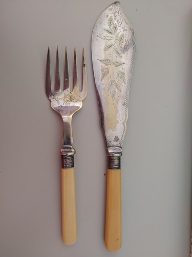 Fish slice and - fish,