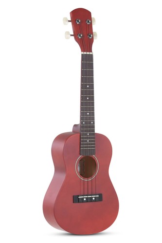 Ukulele concert - ukulele,