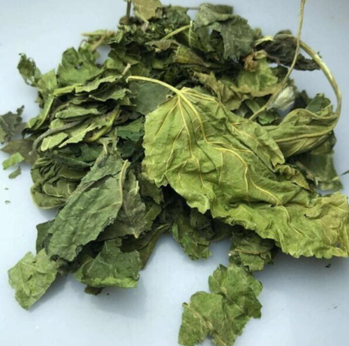 10g foglie gelso bianco - 10g,