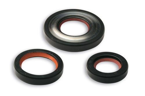 Kit paraoli malossi viton - malossi, in
