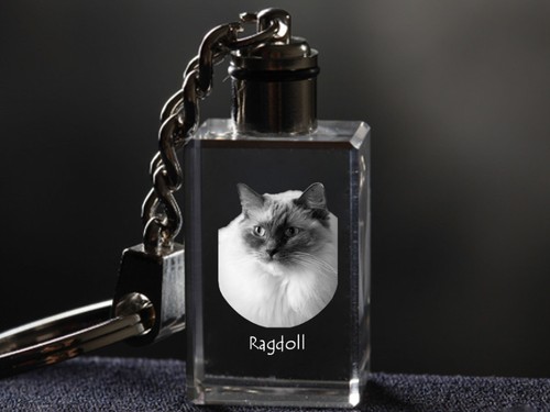 Ragdoll gatto portachiavi - gatto,,