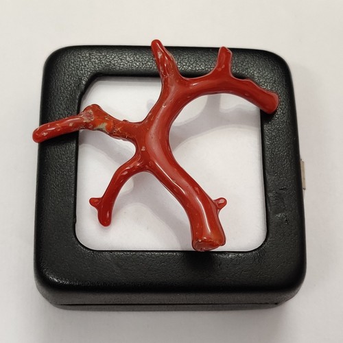 Pietra preziosa corallo rosso