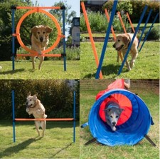 set agility dog 4 in 1 