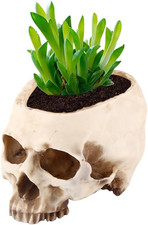 Fioriera Con Teschio,Modello