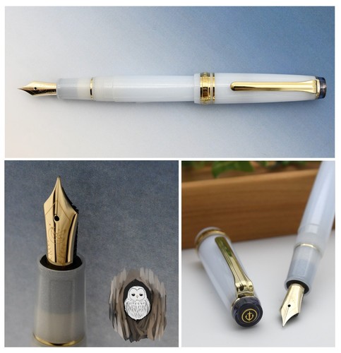 Penna stilografica sailor pro - stilografica,