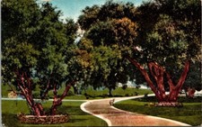 Pasadena CA Busch Estate Gardens Pathway Arroyo Seco Vintage Postcard