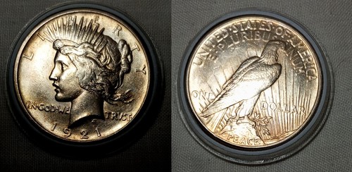 Peace dollar dollaro - peace, del