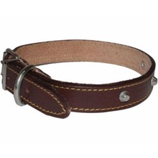 Collare in Cuoio con Borchie per Cani di Media e Grossa Taglia 30x560 mm