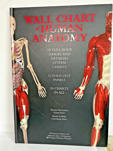 Wallchart human anatomy d - of, 3