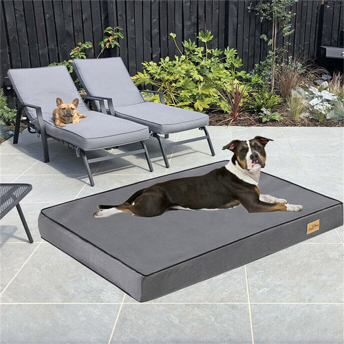 Cuccia per cani - per,
