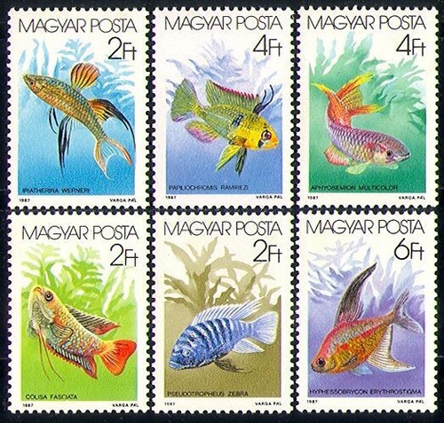 Ungheria 1987 pesce - 1987,
