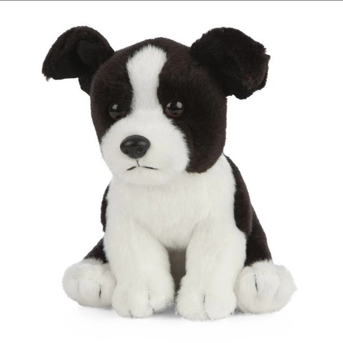 Border collie cucciolo cane - collie,