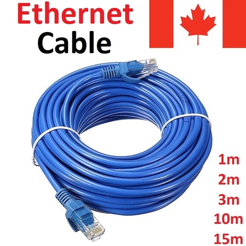 Cat ethernet lan internet - cat,