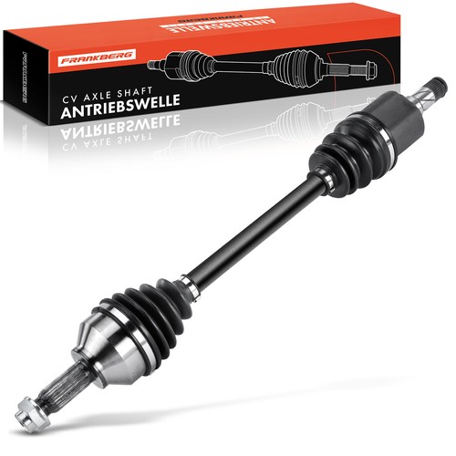 Frankberg semiasse anteriore - semiasse,