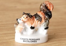 Fava - Gatti Persiani Bicolore