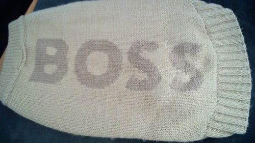 Maglione originale boss dog - maglione,