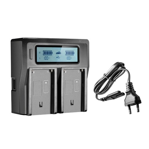 Caricabatteria lcd doppio usb - caricabatteria,