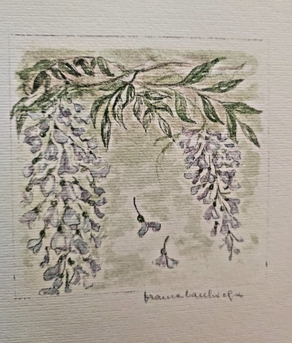 Autografato disegno franca - disegno,