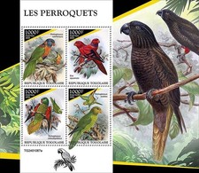 PARROTS Tropical Birds Bird