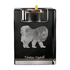 Do Khyi, Tibetano, Mastino