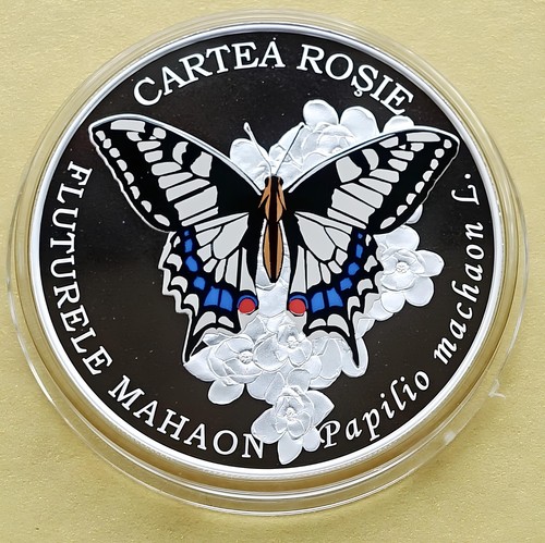 Moldavia 2020 papilio machaon - moldavia,