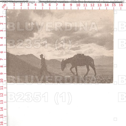 B2351 militare alpini - militare,
