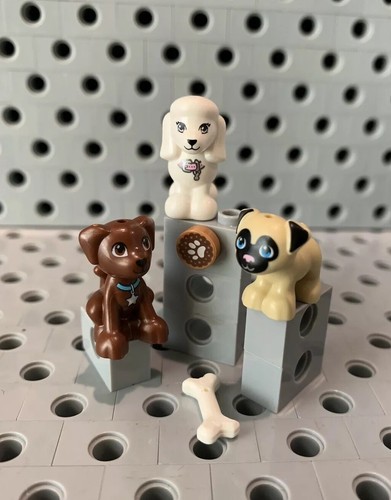 Lego cani carlino barboncino - cani,