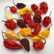 20 Semi Peperoncino Tra Le Varietà Più Piccanti Al Mondo: Carolina Reaper +Altri