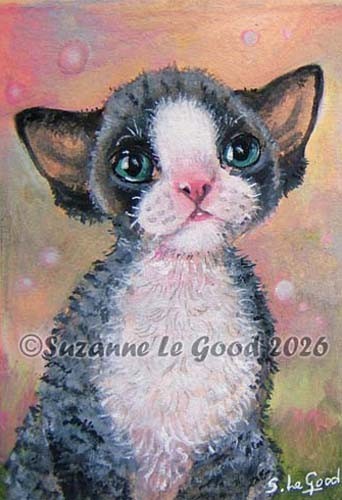 Devon rex cat kitten art - devon,