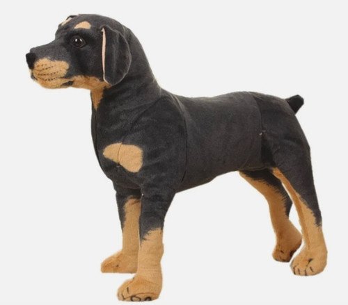 Oberman pinscher cane - cane, 10