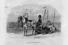 Stampa antica CARROZZA con