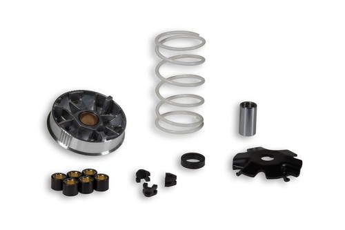 517484 variatore malossi - 517484,