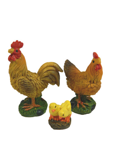 Famiglia gallinacei per - famiglia, di