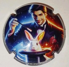 🌈🌈capsule de champagne