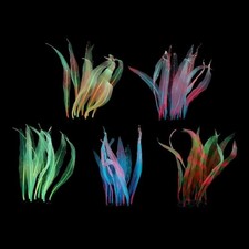 Acquario Silicone Kelp Morbido