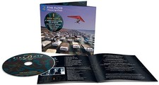 Pink Floyd - A Momentary Lapse