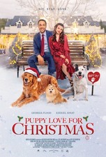 Cucciolo Amore per Natale