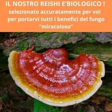 REISHI / GANODERMA BIO  60