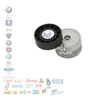 TENDICINGHIA CUSCINETTO